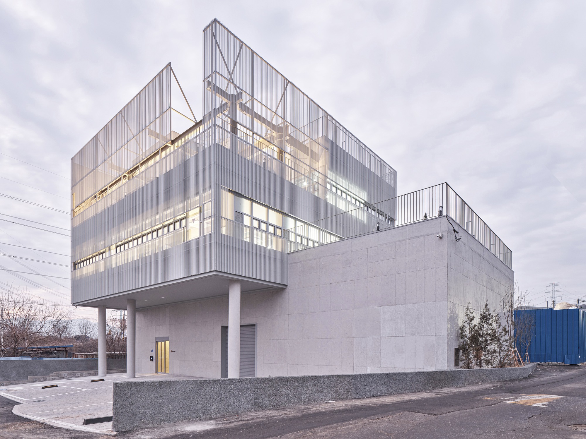 Our Professional Team